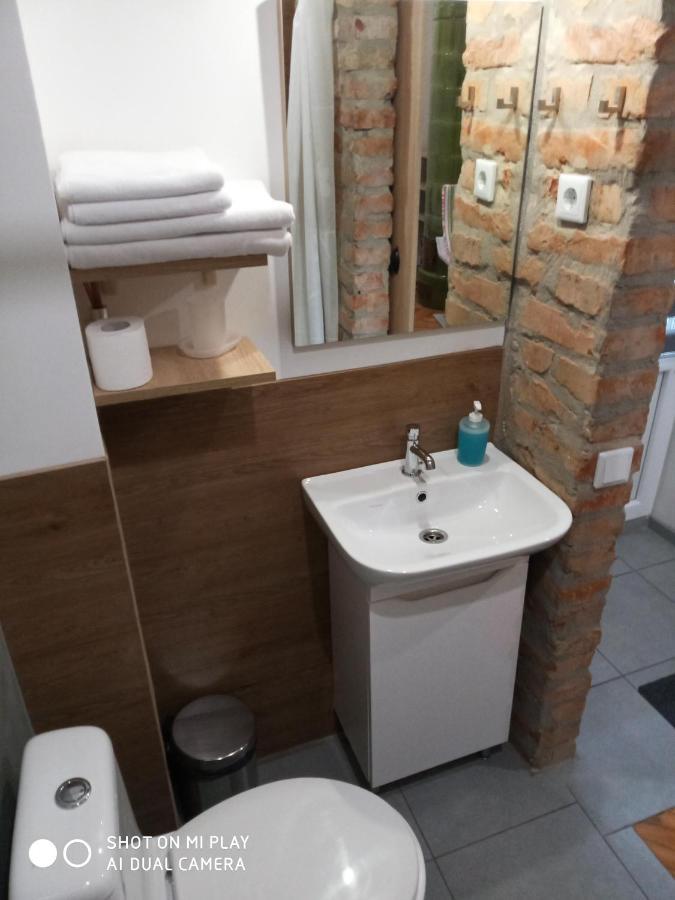 Gogol 14 Апартаменти В Історичному Центрі Міста Uzhhorod Exterior foto